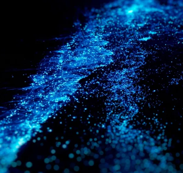 Bioluminescence in water