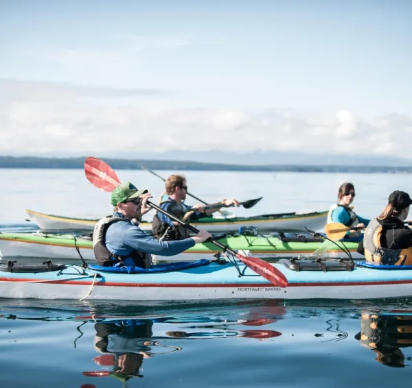 Killer Whale Sanctuary Kayak Tour