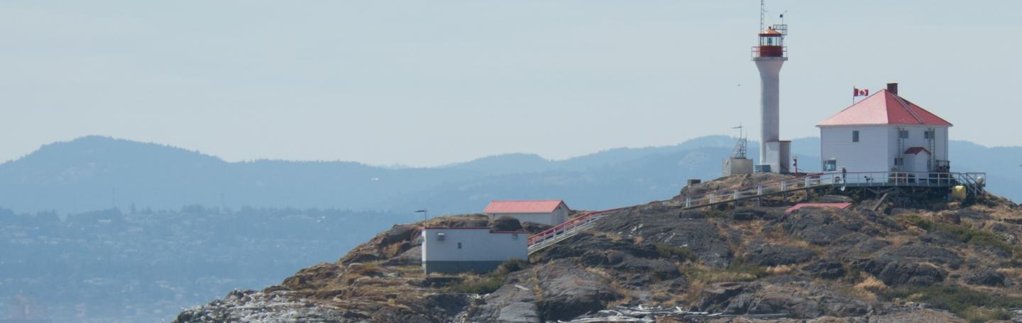 Killer whale visiting Trial Island Lighthouse Orca whale in Canadian waters