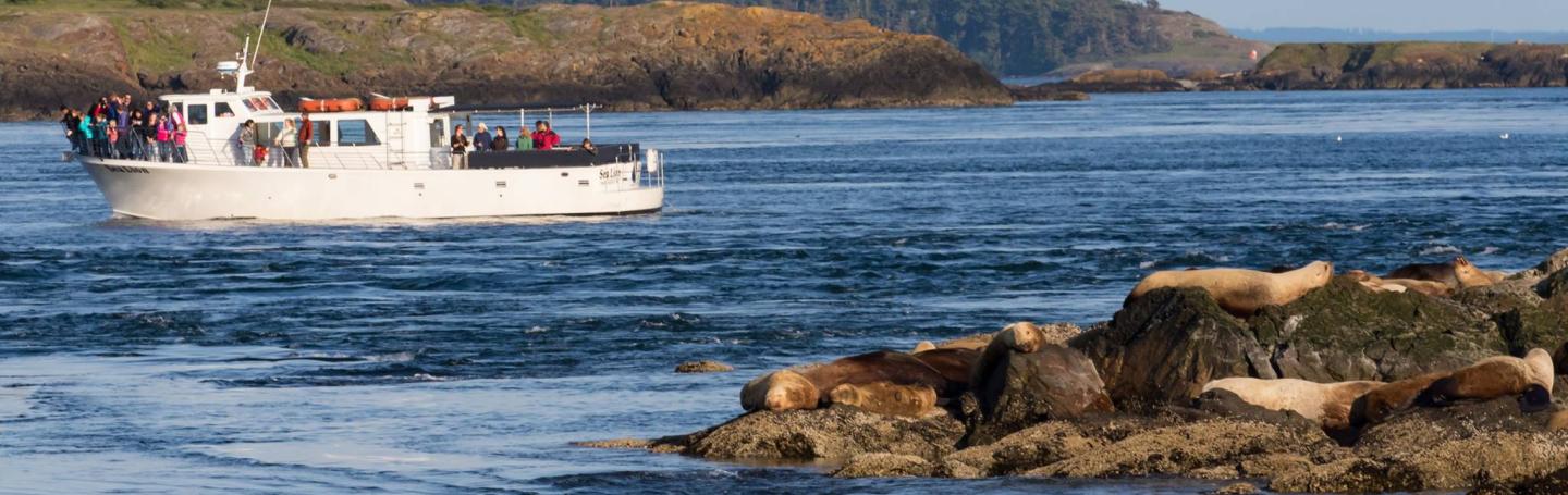 M/V Sea Lion with Steller's sea lions M/V Sea Lion with Steller's sea lions