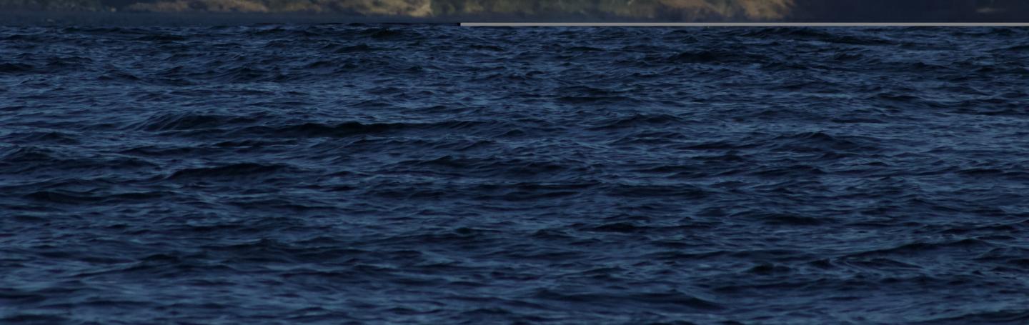 T124A family group of Bigg's Orcas Bigg's Orcas