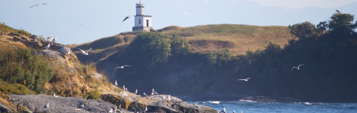 Harbor Seals and Cattle Point Harbor Seals and Cattle Point
