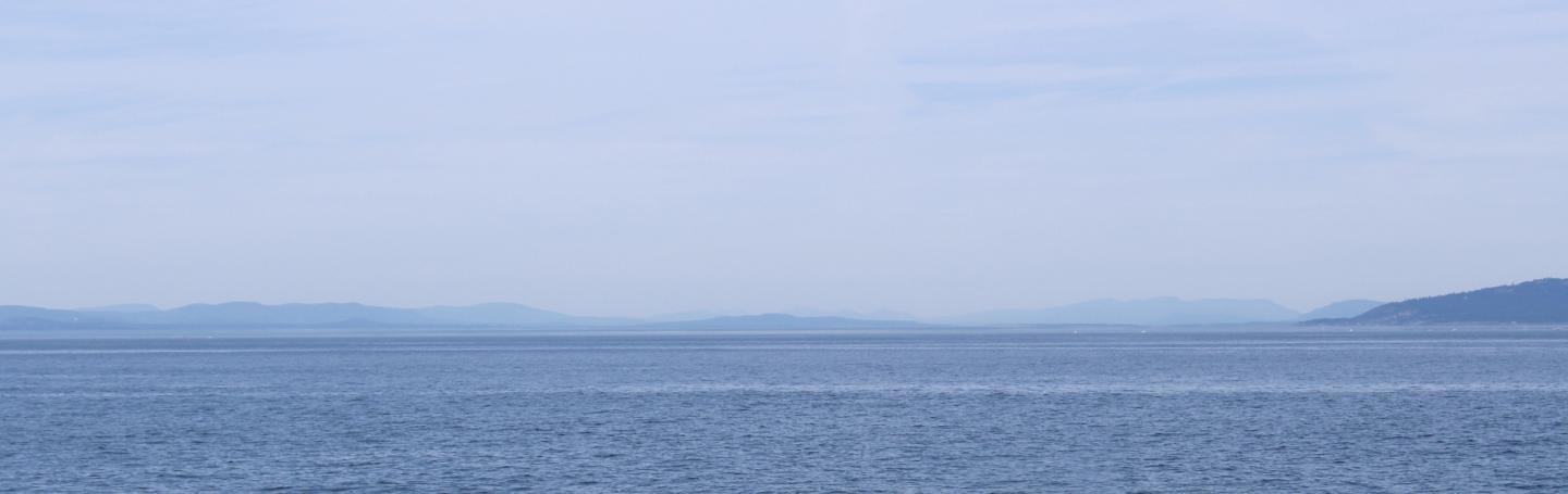 J-16s fishing Haro Strait J pod orcas