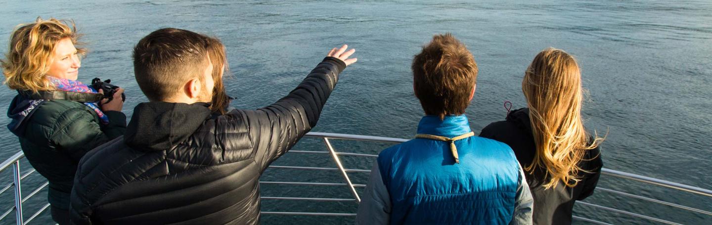 Best Friends Watching Killer Whales