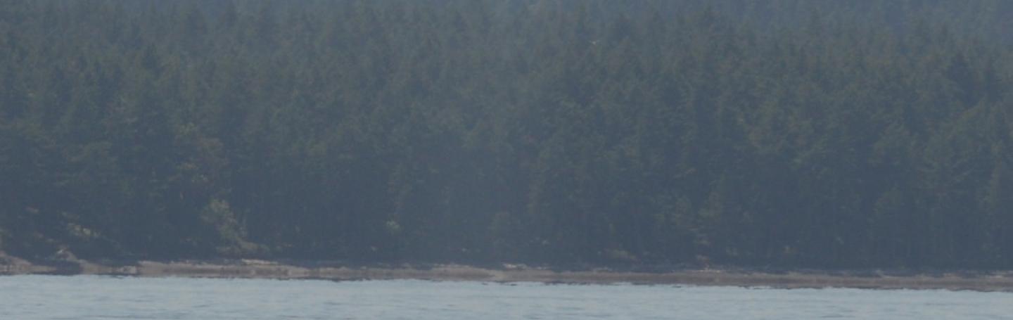 Humpback near San Juan Islands Humpback near San Juan Islands