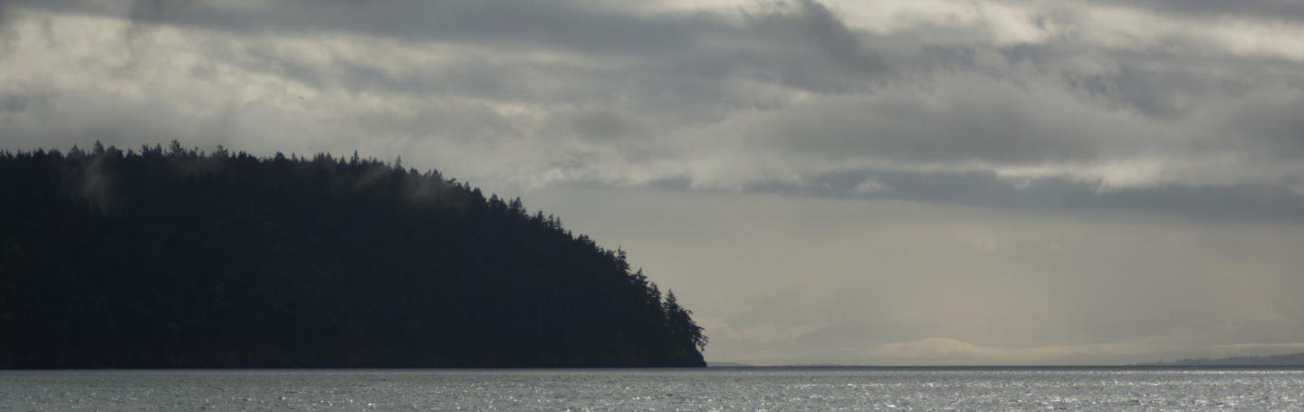 Henry Island in the Sunshine