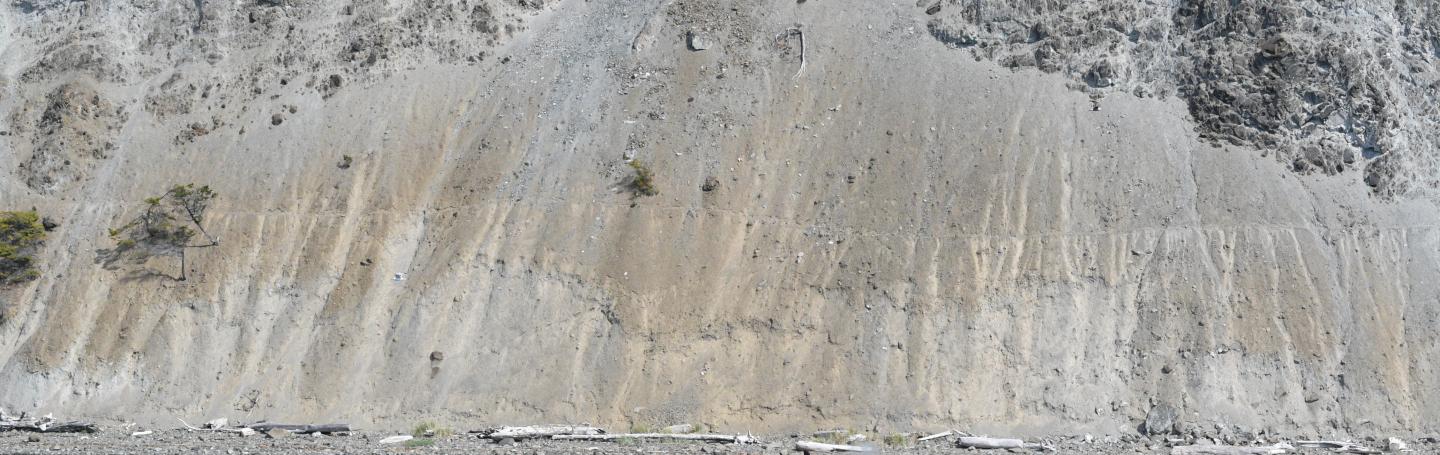 whale surfaces on a cliffside