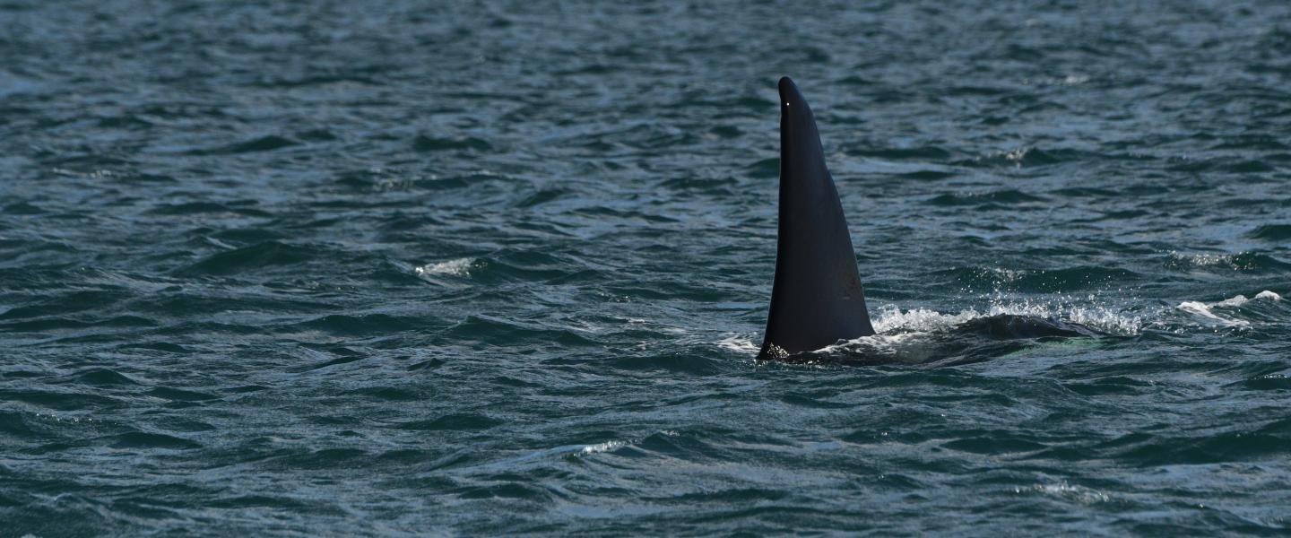 pc: Olivia Esqueda, March 2026.