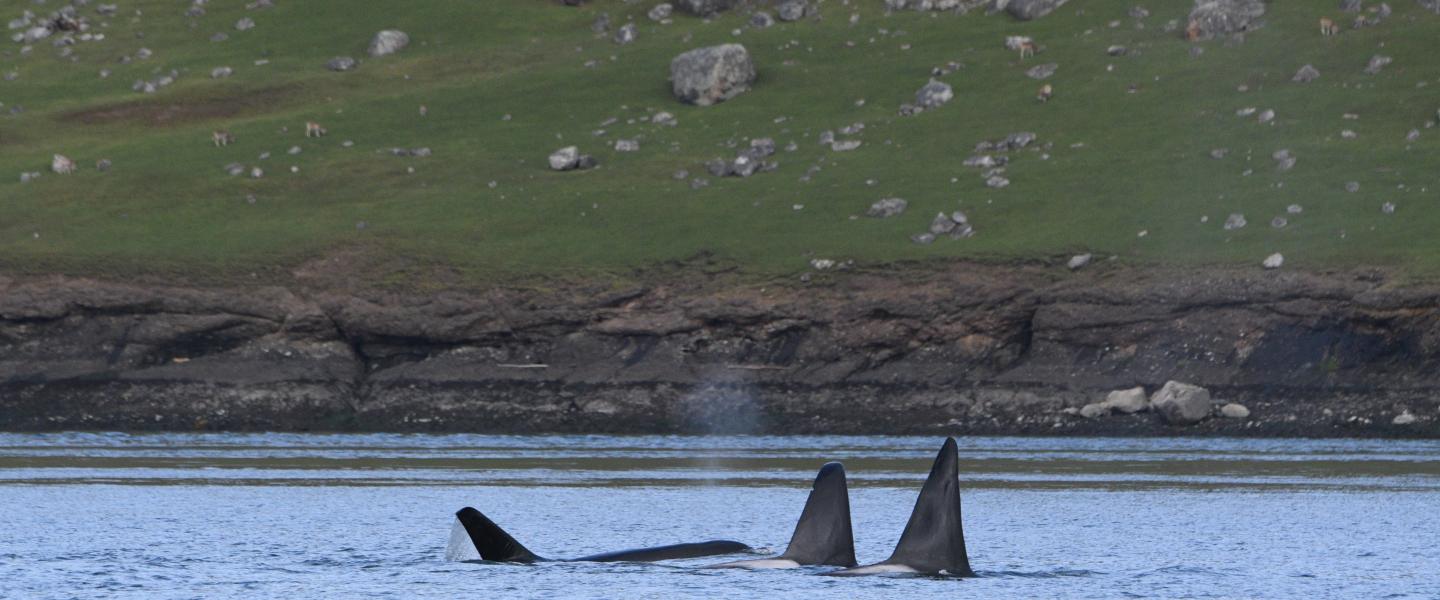 pc: Olivia Esqueda, March 2026.