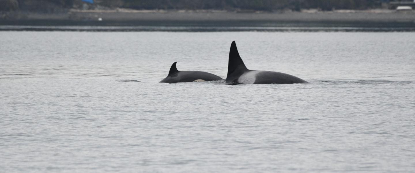 pc: Olivia Esqueda, April 2026