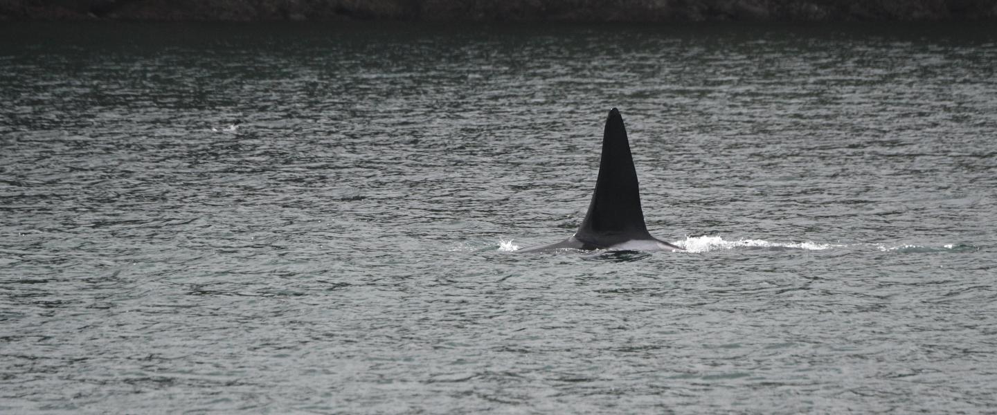 p.c: Olivia Esqueda, April 2026.