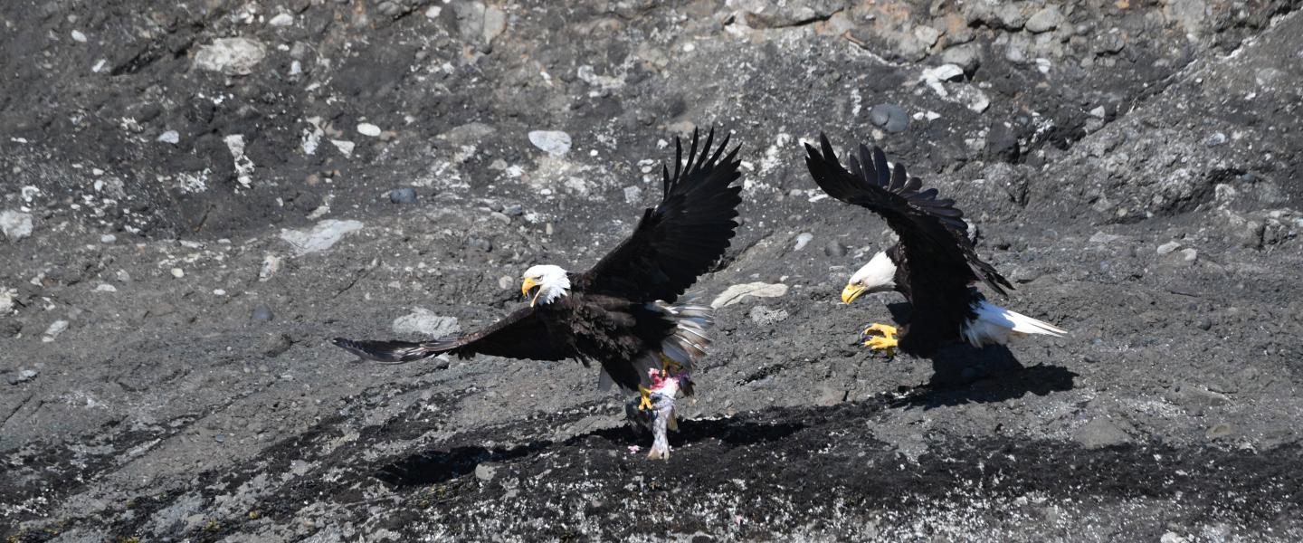 p.c: Olivia Esqueda, April 2026.