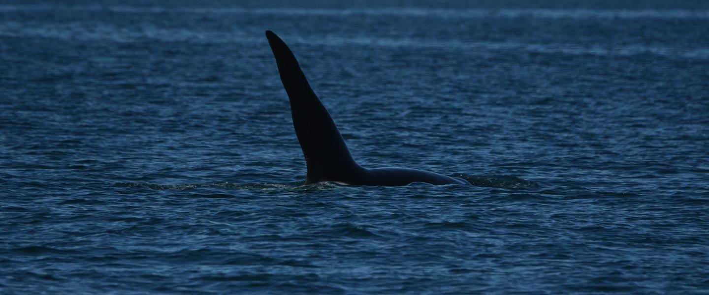 p.c: Olivia Esqueda, April 2026.