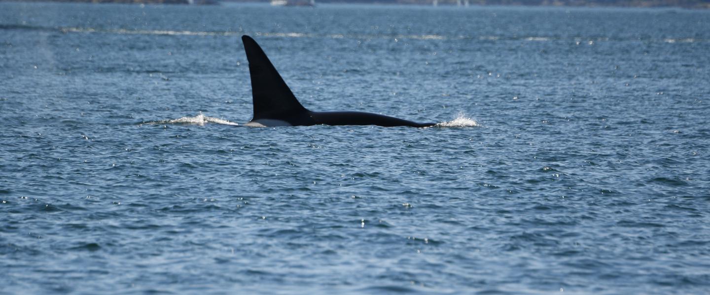 pc: Olivia Esqueda; April 2026.