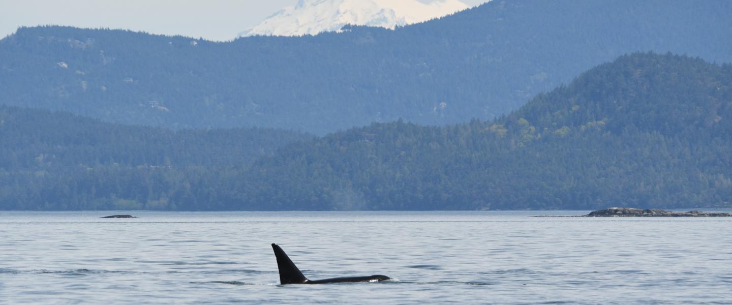 pc: Olivia Esqueda, April 2026.