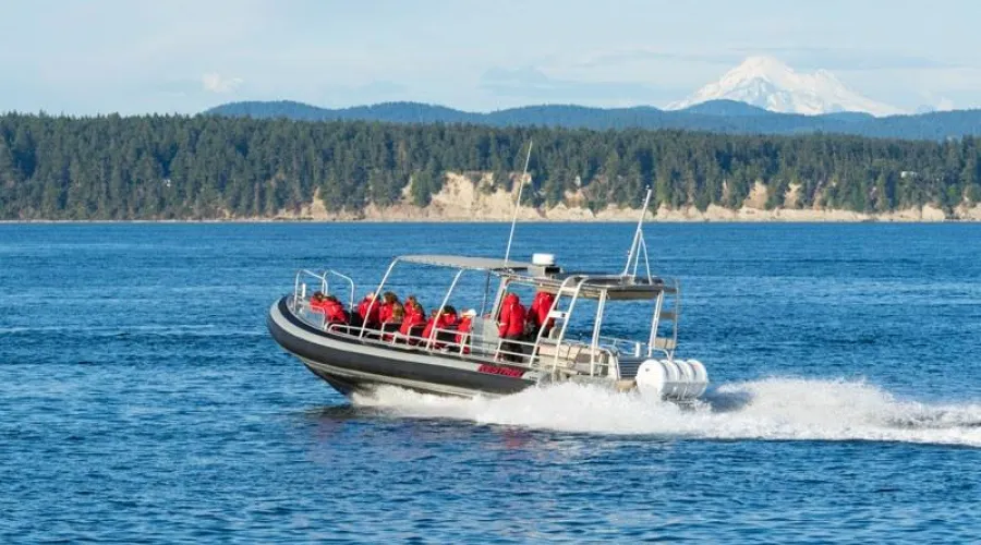 Kestrel boat