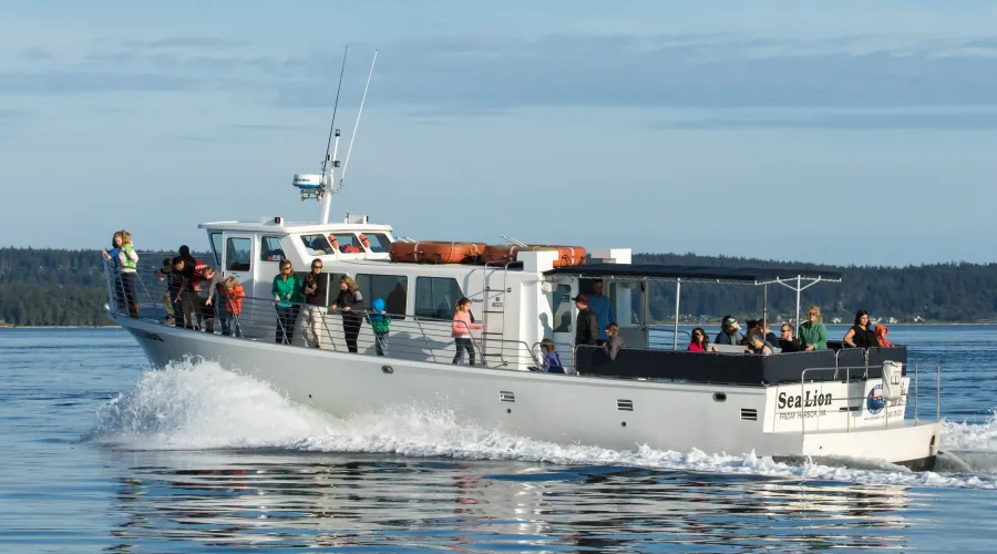 M/V Sea Lion in transit