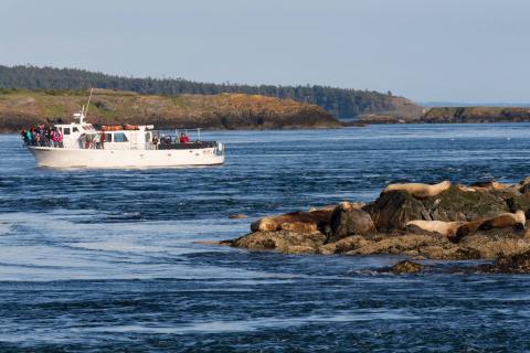 M/V Sea Lion with Steller's sea lions M/V Sea Lion with Steller's sea lions