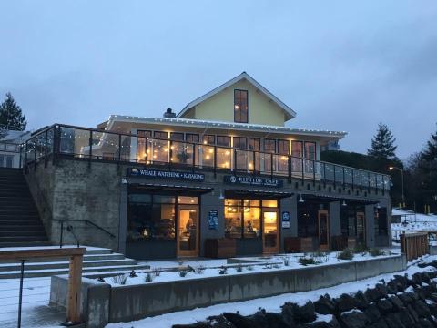 Friday Harbor, San Juan Island Snow 2016