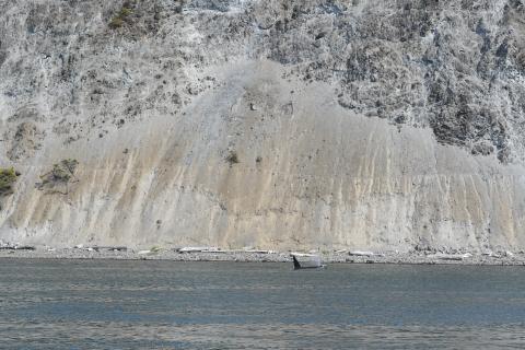 whale surfaces on a cliffside