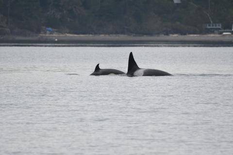 pc: Olivia Esqueda, April 2026