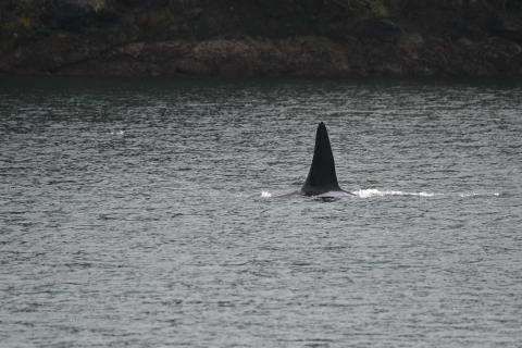 p.c: Olivia Esqueda, April 2026.