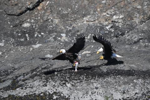 p.c: Olivia Esqueda, April 2026.