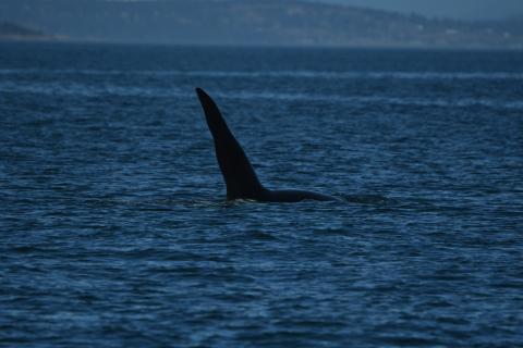 p.c: Olivia Esqueda, April 2026.