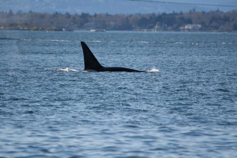 pc: Olivia Esqueda; April 2026.