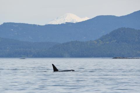 pc: Olivia Esqueda, April 2026.