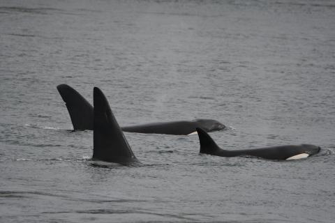 pc: Kelly Klein, May 2026.