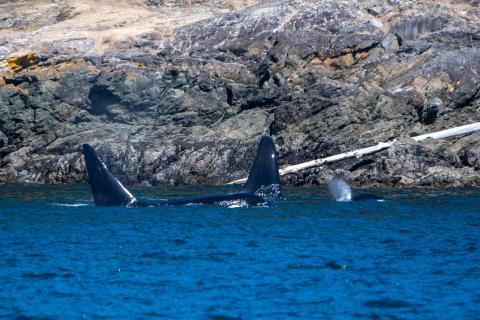 08/11/26 LV (T19s)