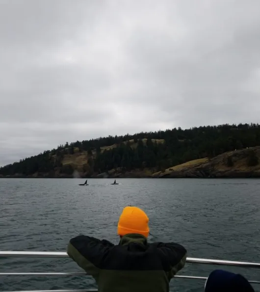 Bright hat and view of whales in the water