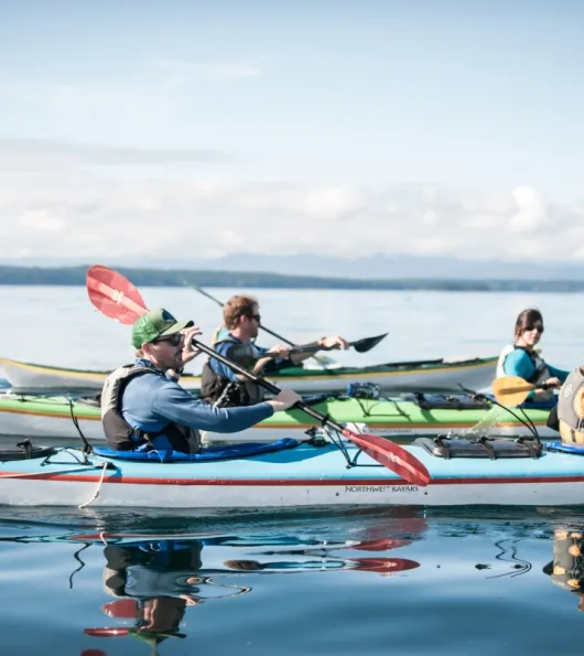 Killer Whale Sanctuary Kayak Tour
