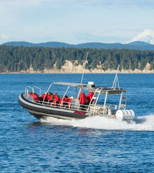 Kestrel boat