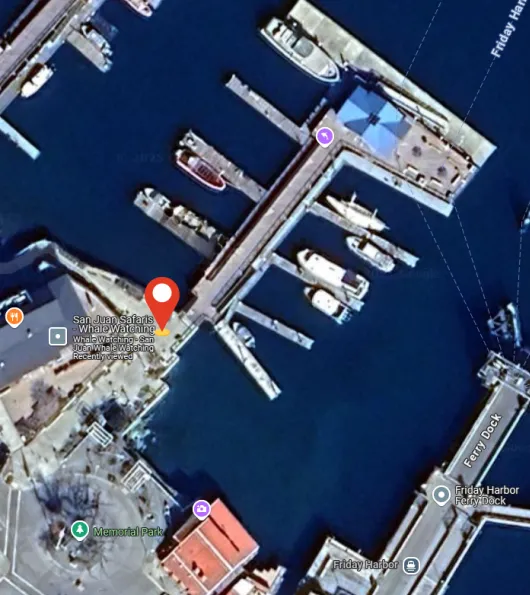 Spring Street Landing Meeting Point